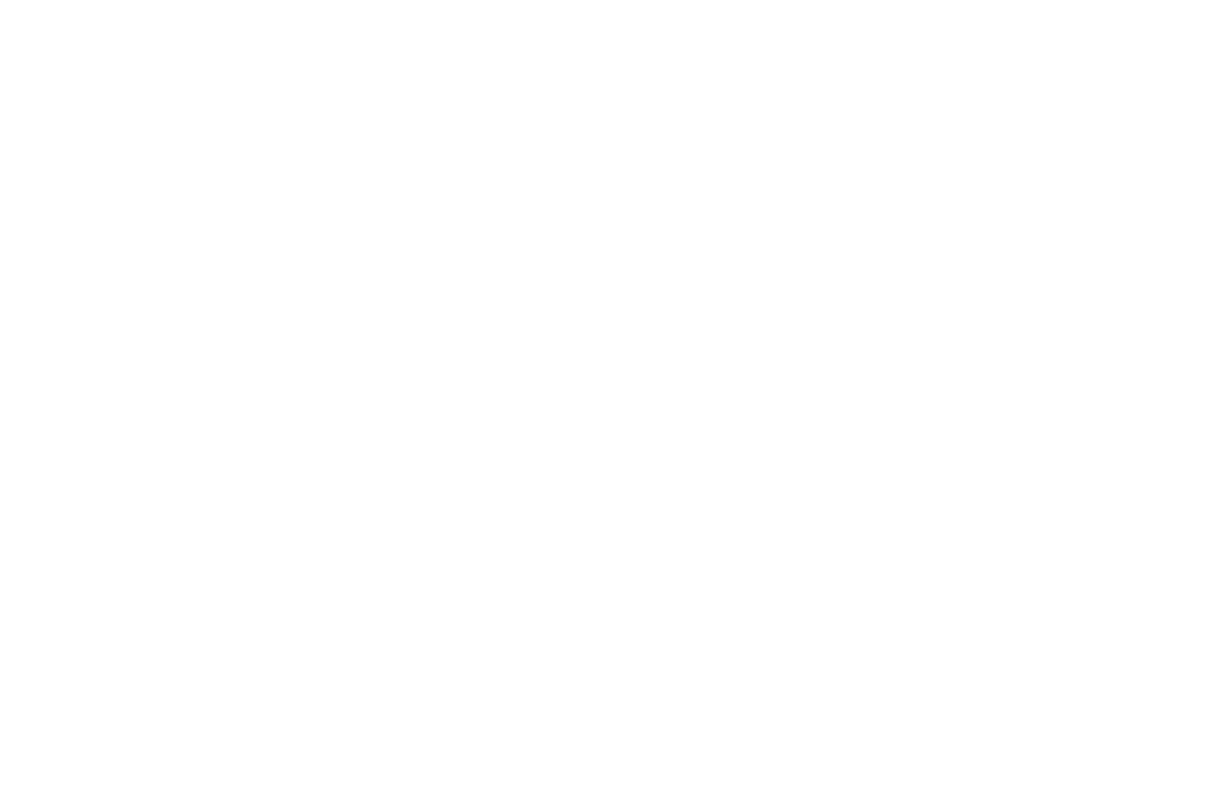 Audience Award — Brooklyn Film Festival 2017
